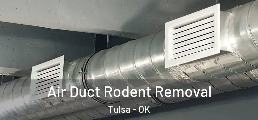 Air Duct Rodent Removal Tulsa - OK