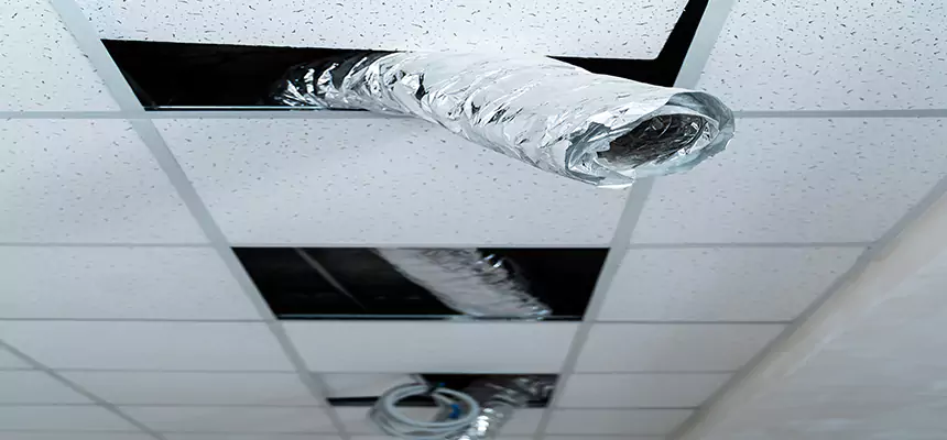 Affordable HVAC Sanitizing After Pest Removal in Tulsa