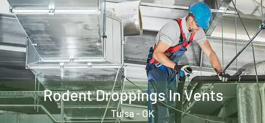  Rodent Droppings In Vents Tulsa - OK