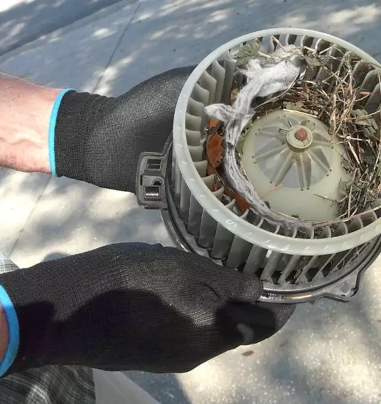 About Air Duct Rat Removal in Tulsa, OK