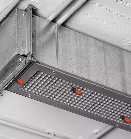 Affordable Insect Removal from Air Ducts in Tulsa, OK
